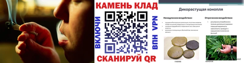 ГАШ гашик Шумиха