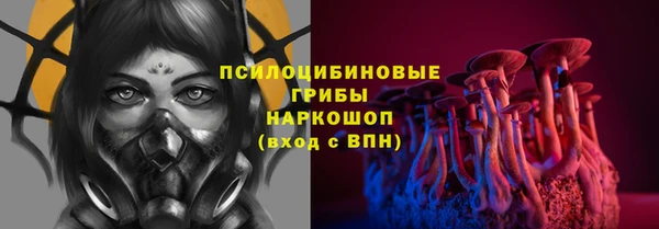 МДПВ Абинск